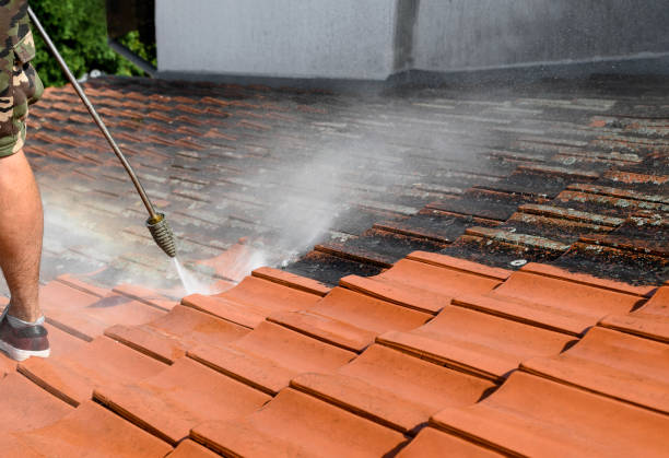 Best Exterior Home Cleaning  in Bolivar, TN
